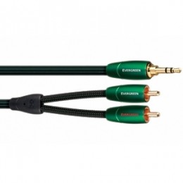 Соединительный кабель AudioQuest Evergreen 3.5M-2RCA 0.6 м